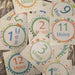 Stickers mensuales para bebés - Yo Soy Local